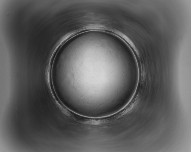 X0000100321245200806051510