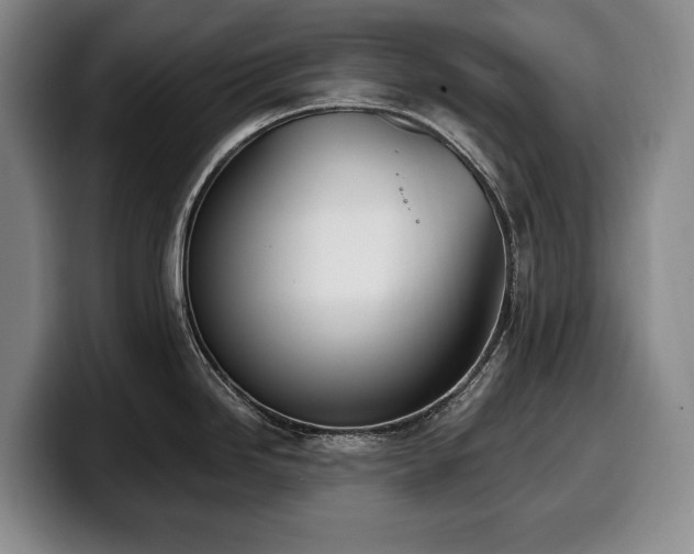 X0000100321246200806051510