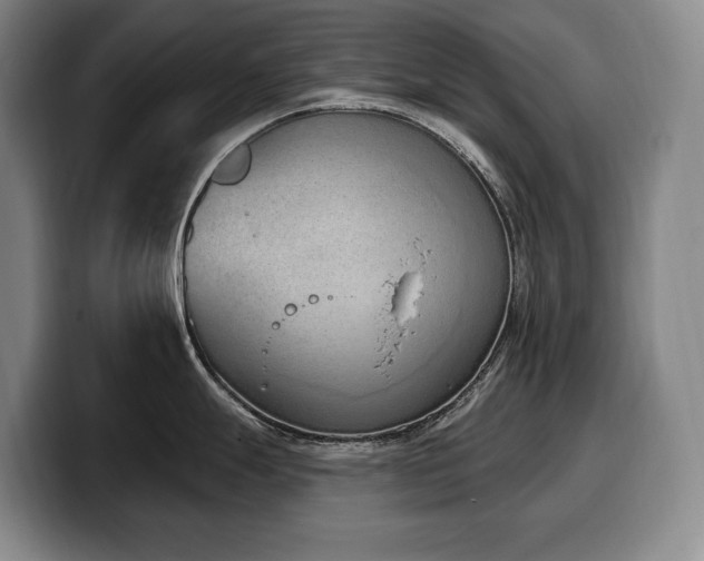 X0000100321247200806051510