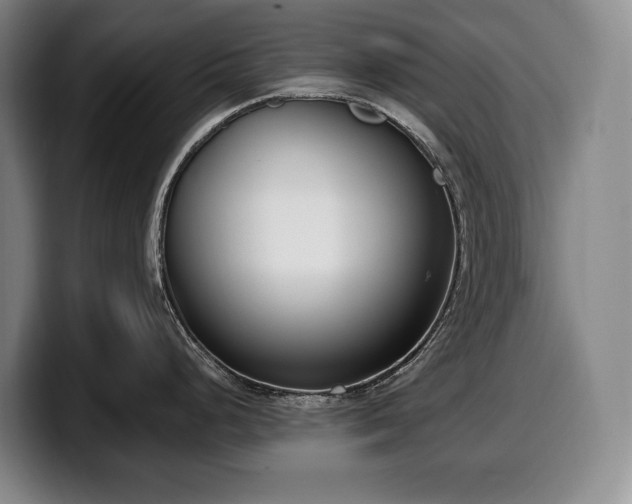 X0000100321248200806051510
