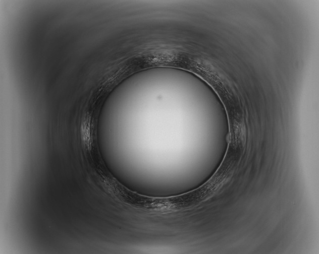 X0000100321250200806051509