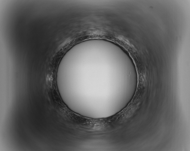 X0000100321254200806051509