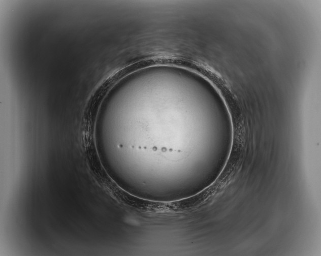 X0000100321255200806051509