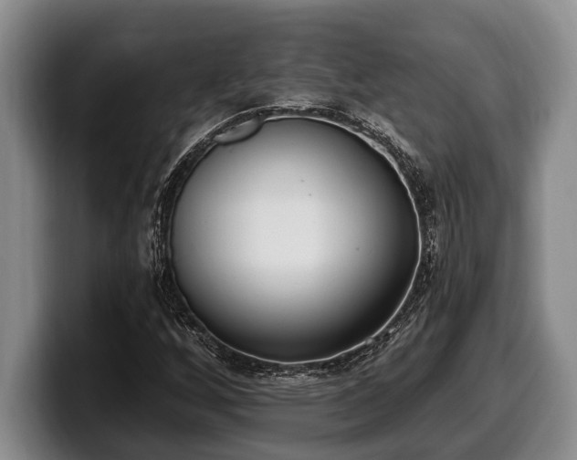 X0000100321256200806051509