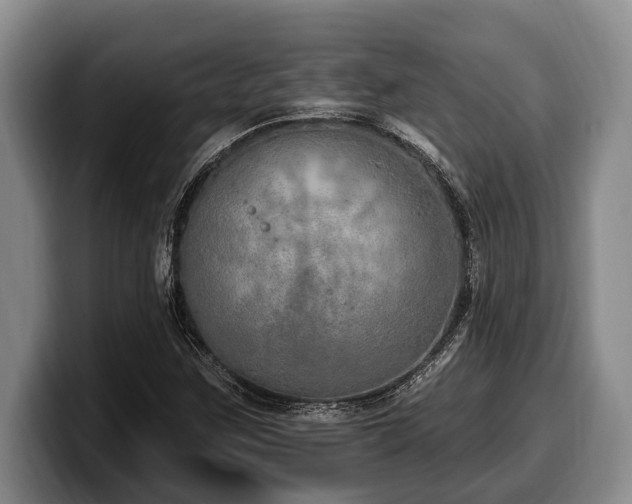 X0000100321259200806051509