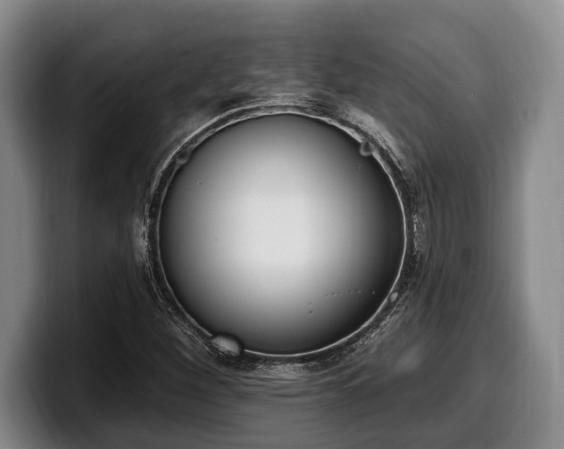 X0000100321260200806051509
