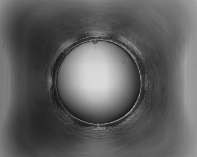 X0000100321261200806051509