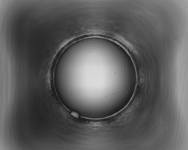 X0000100321264200806051509