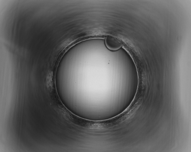 X0000100321265200806051509