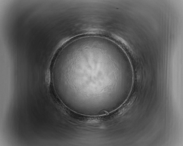 X0000100321267200806051509