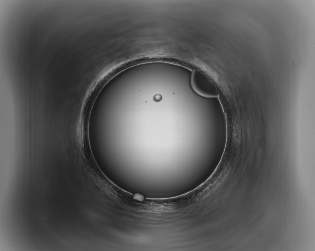 X0000100321270200806051509