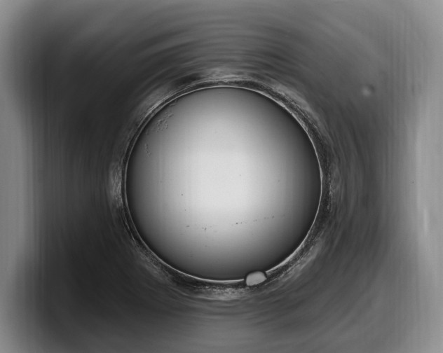 X0000100321273200806051509