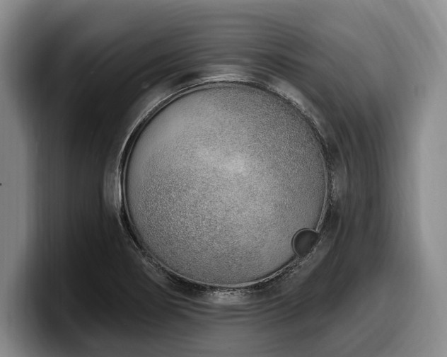 X0000100321274200806051509