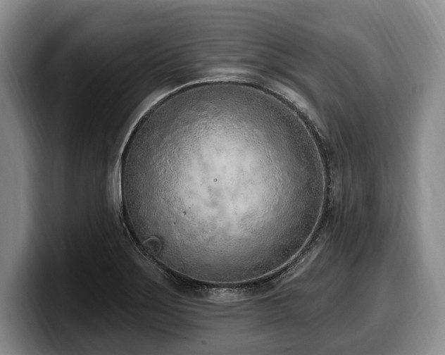 X0000100321275200806051509