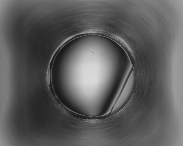 X0000100321276200806051509