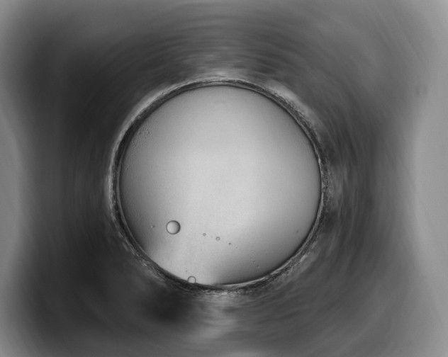 X0000100321278200806051509