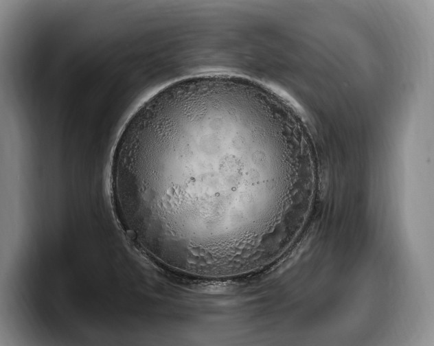X0000100321279200806051509