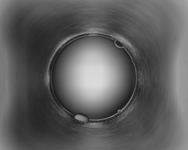 X0000100321280200806051509