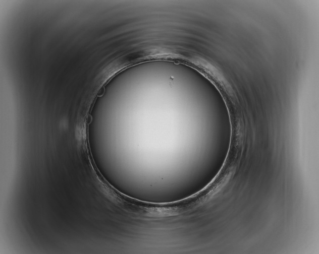 X0000100321281200806051509