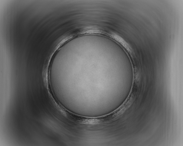 X0000100321282200806051509