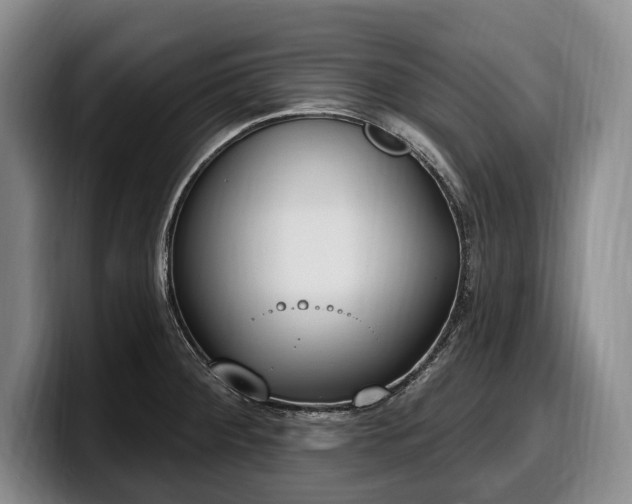 X0000100321284200806051509