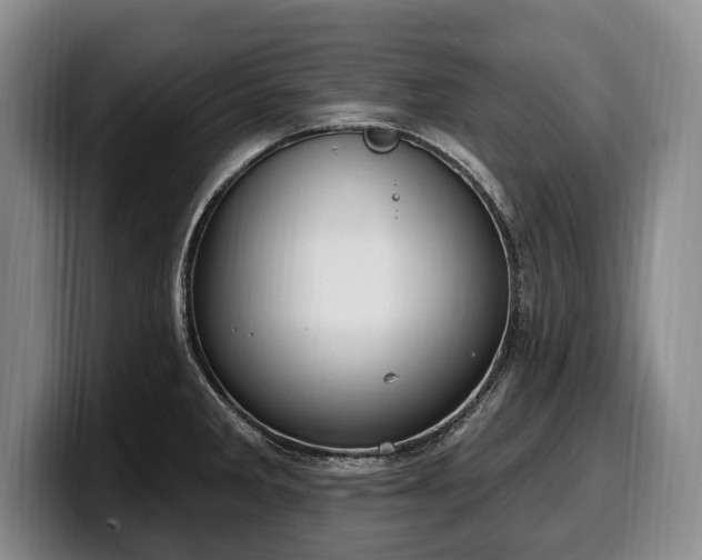 X0000100321285200806051509