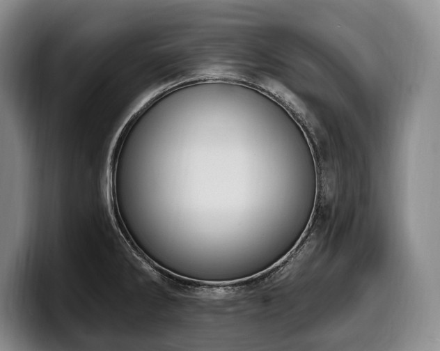 X0000100321286200806051509