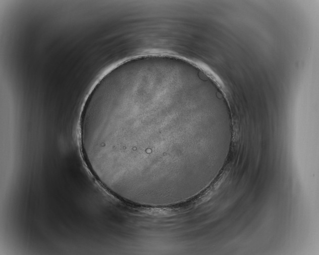 X0000100321287200806051509