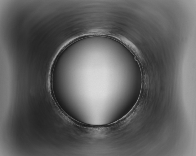 X0000100321288200806051509