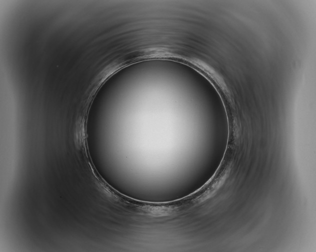 X0000100321289200806051509