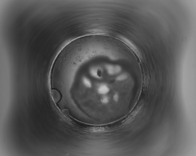 X0000100321291200806051509