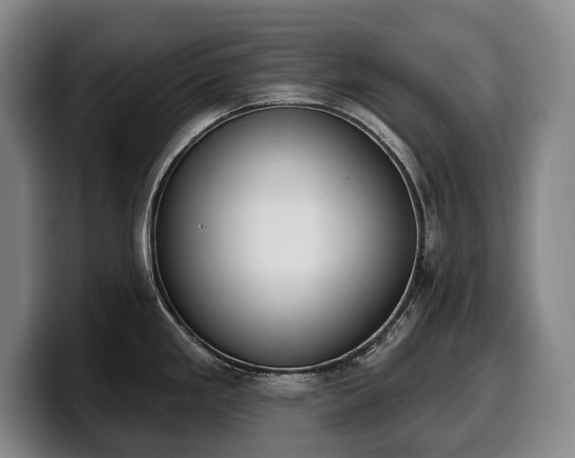 X0000100321293200806051509