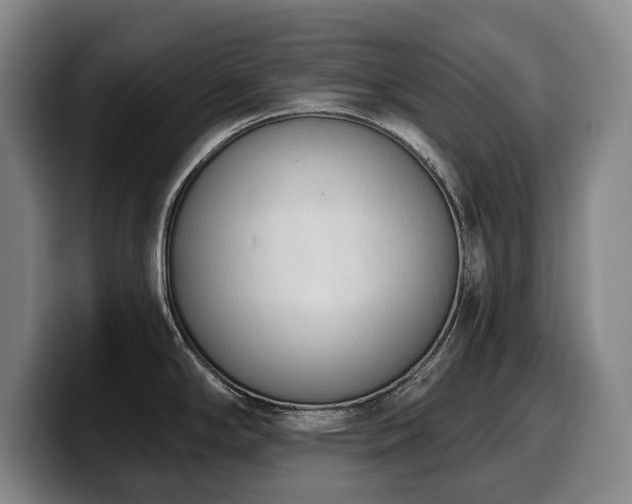 X0000100321294200806051509
