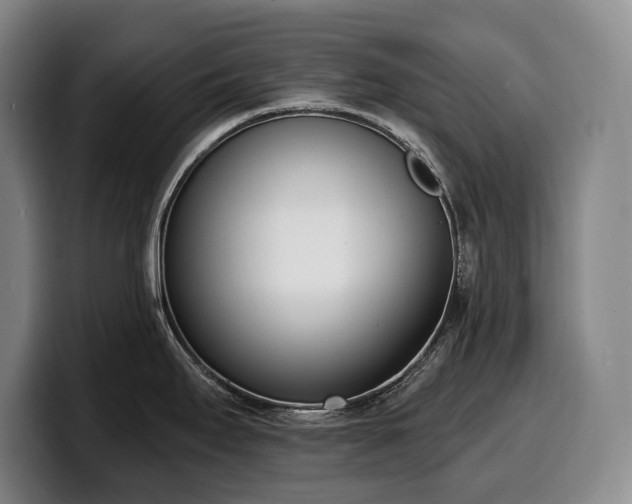 X0000100321295200806051509