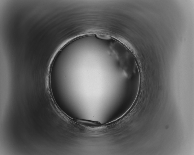 X0000100321296200806051509