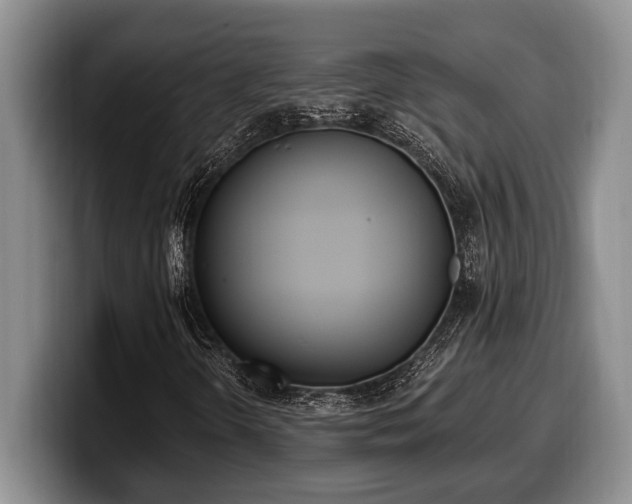 X0000100321298200806051508