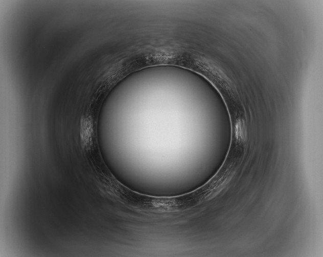 X0000100321299200806051508