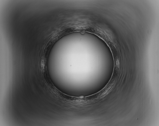X0000100321300200806051508