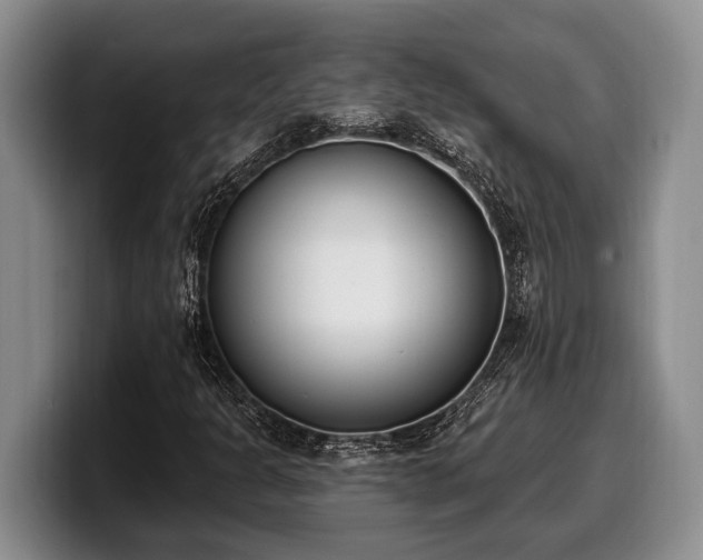 X0000100321301200806051508