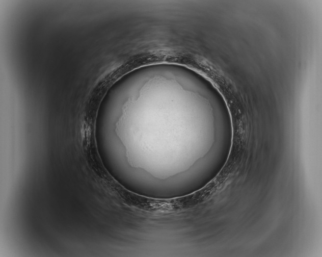 X0000100321302200806051508