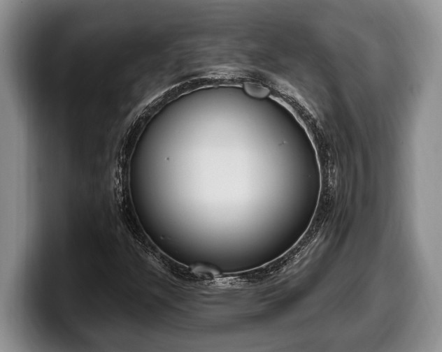 X0000100321304200806051508