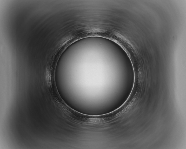 X0000100321305200806051508