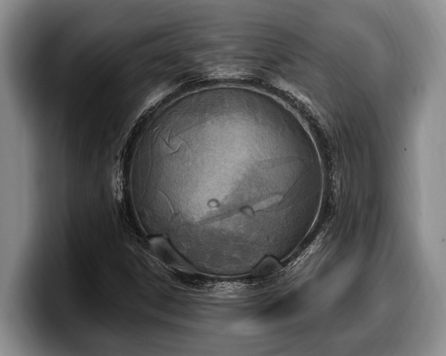 X0000100321306200806051508