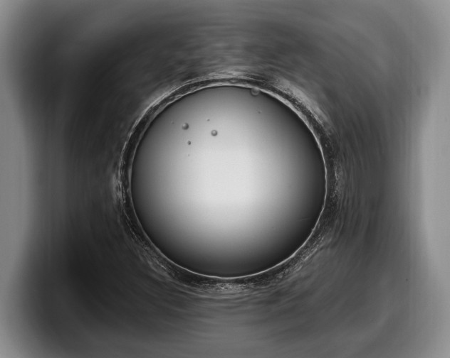 X0000100321308200806051508