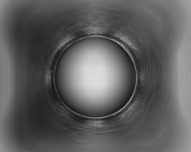 X0000100321309200806051508