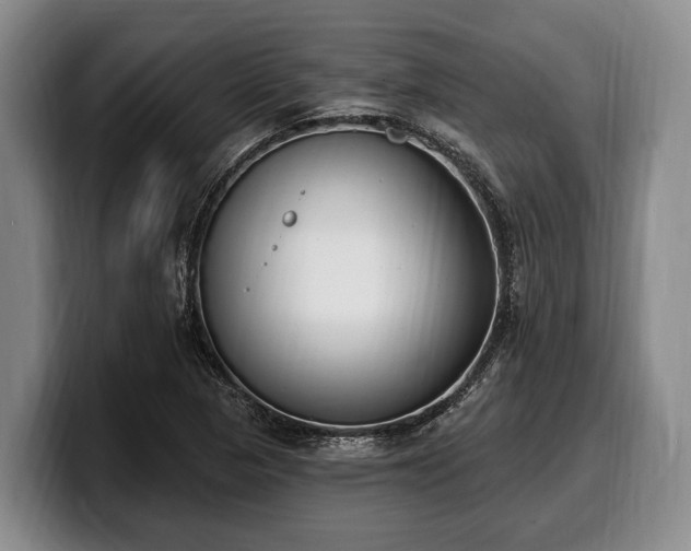 X0000100321313200806051508