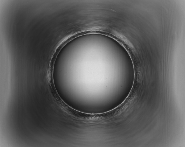 X0000100321316200806051508