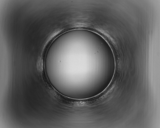 X0000100321317200806051508