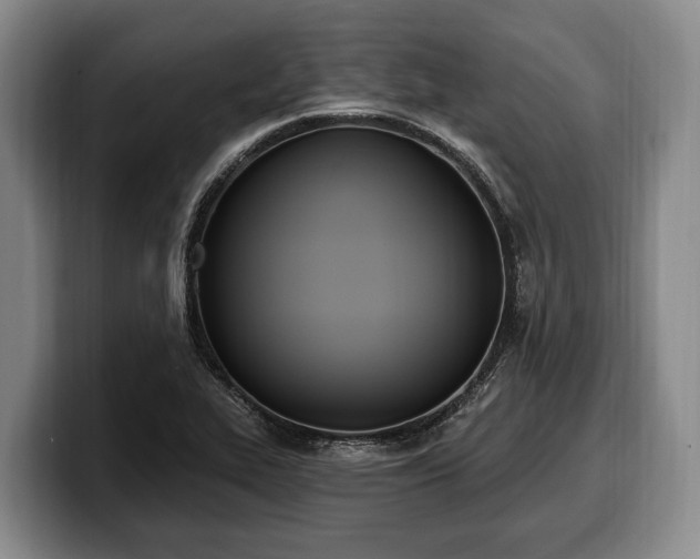 X0000100321319200806051508