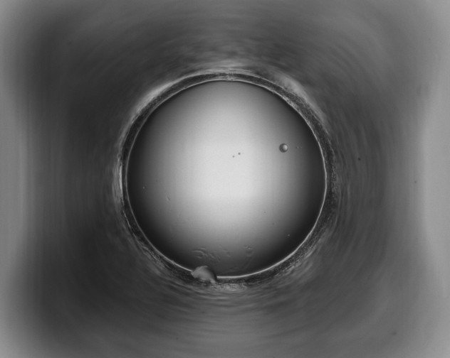 X0000100321320200806051508